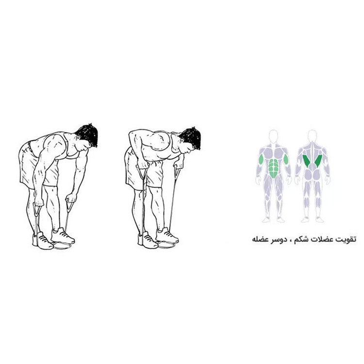 کش ورزشی
